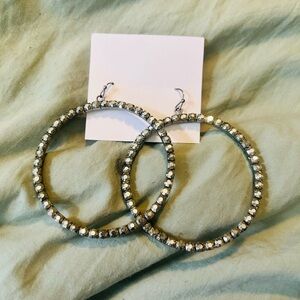 Elegant Silver Hoop Earrings